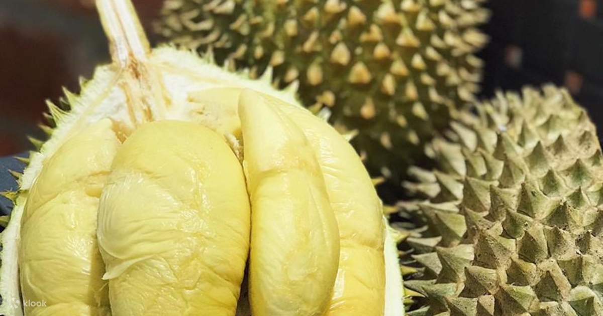 Durian Hours Delivery in Klang Valley Klook United States US